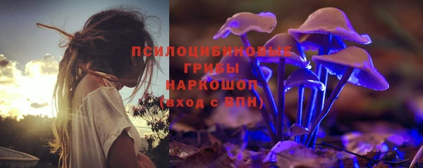 2c-b Алзамай