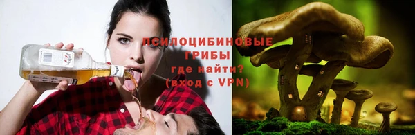 герыч Алексин