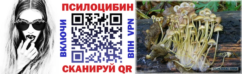 ОМГ ОМГ   Урюпинск  Галлюциногенные грибы мицелий 